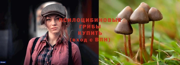 МДПВ Зерноград