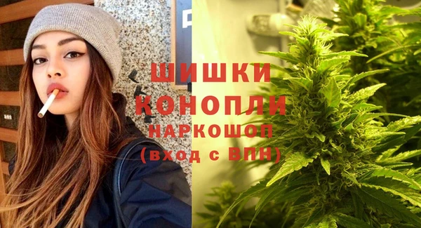 амф Зеленокумск