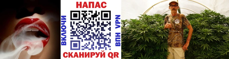 Бошки Шишки марихуана  Купить закладки  Сысерть 